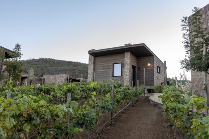 A Quiet Elegance: Inside Valle de Guadalupe’s Grand Luxury Retreat