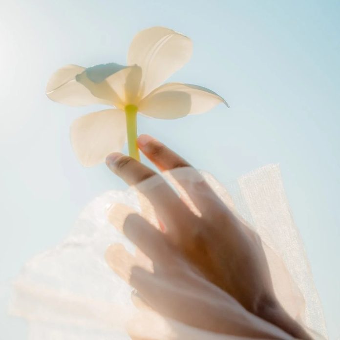 A Therapist Who Guides EMDR Through Real-Life Struggles
