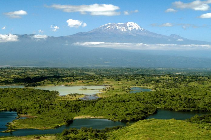Rugged paths, real trust: find your Kilimanjaro guide
