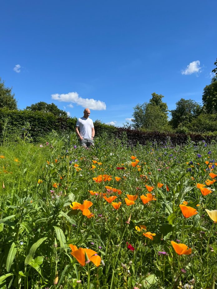 Bright, practical garden care in Bristol you can trust