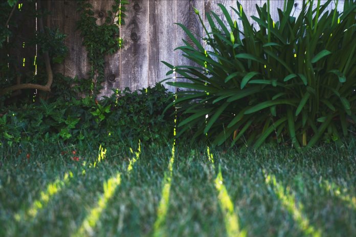 Brighten Your Bristol Garden with Trusted Local Help