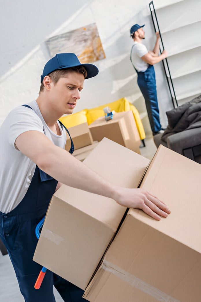 Fast, Fair Moves: Brisbane to Sydney and Across Australia