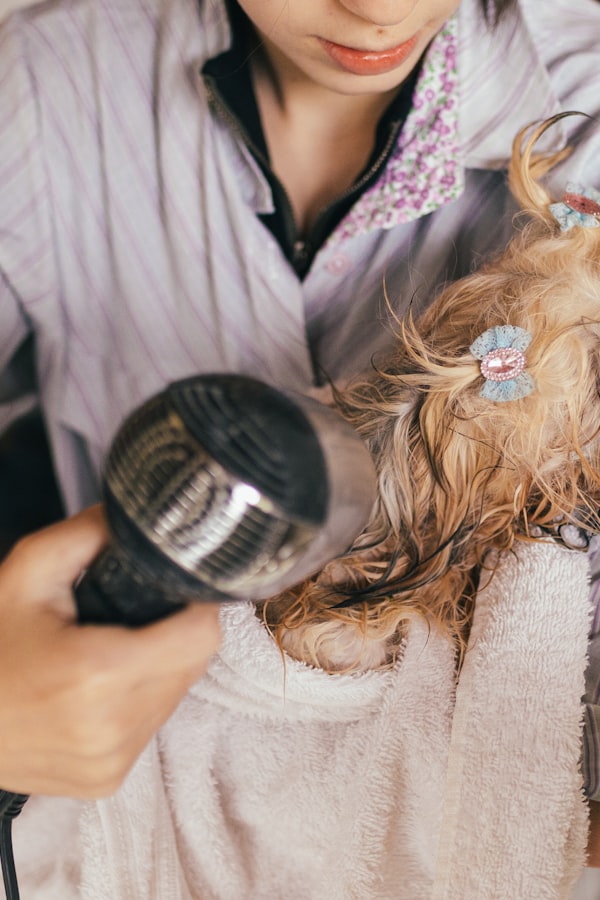 West Nashville grooming on wheels: trusted care for every coat
