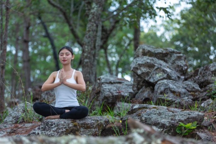 Quiet Power: James Steed Zen-X guided meditations and calm paths