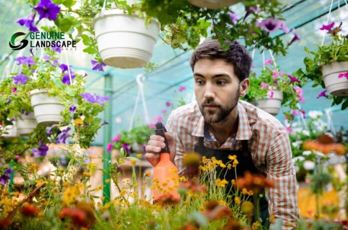 Tailored garden care for homes and businesses